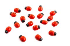 Berušky 3 cm, 18 ks