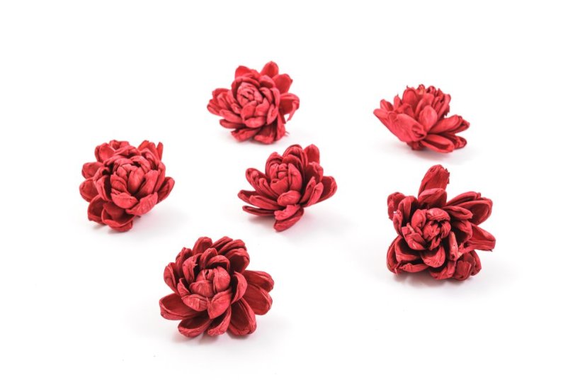 Shola - dekorační květ Chryzantéma