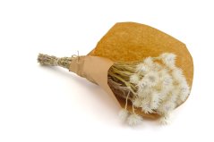 Capblumen bunch natural 50 g