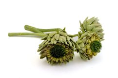 Artichoke květ, stabilizovaný