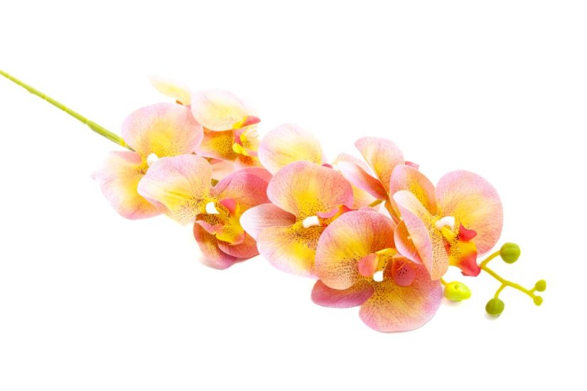 Orchidej 80 cm - Barva: Tmavě růžová