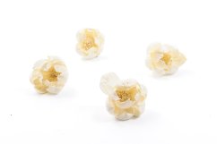 Shola - dekorační květ Pivoňka