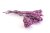 Brunia albiflora, color 10 ks