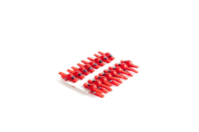 Kolíček s beruškou 3 cm, 16 ks