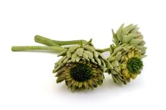 Artichoke květ, stabilizovaný