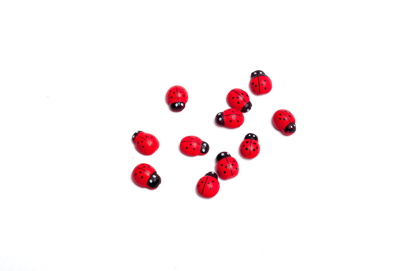 Beruška 2,5 cm