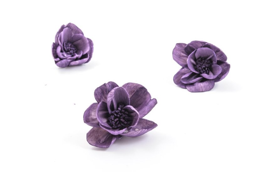 Shola - dekorační květ Pivoňka