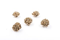 Shola - dekorační květ Chryzantéma