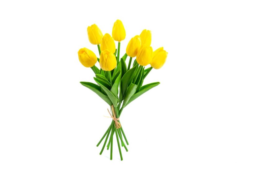Svazek tulipánů
