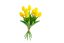 Svazek tulipánů