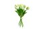 Svazek tulipánů