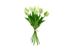 Svazek tulipánů
