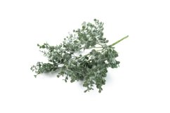 Umělý eukalyptus