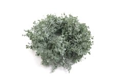 Umělý eukalyptový věnec 35 cm