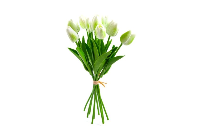 Svazek tulipánů