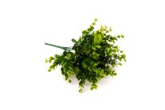 Umělý zelený eukalyptus