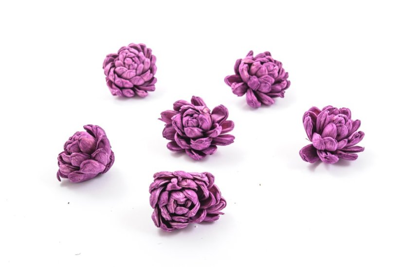 Shola - dekorační květ Chryzantéma