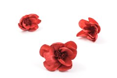 Shola - dekorační květ Pivoňka