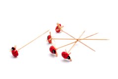 Berušky 3,5 cm, zápich