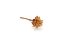 Leucospermum plumosum cream, 20 ks