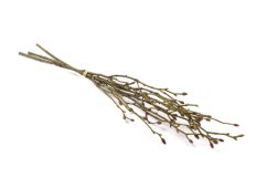 Umělá větvička s pupeny