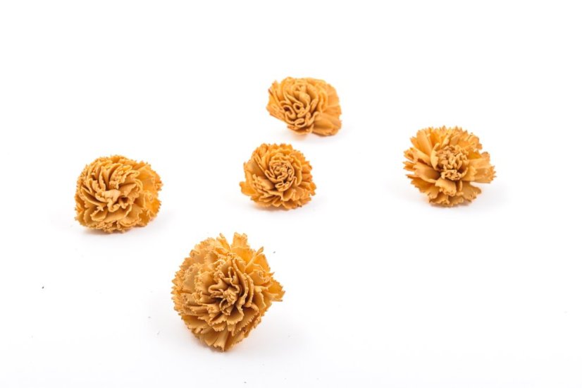 Shola - dekorační květ Karafiát