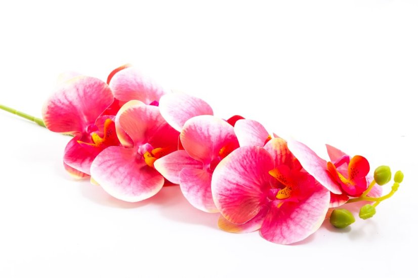 Orchidej 80 cm - Barva: Tmavě růžová