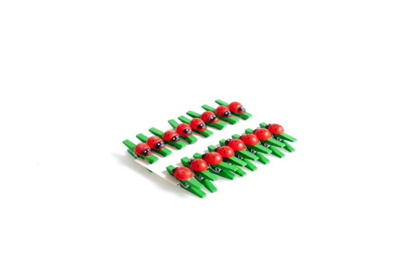 Kolíček s beruškou 3 cm, 16 ks