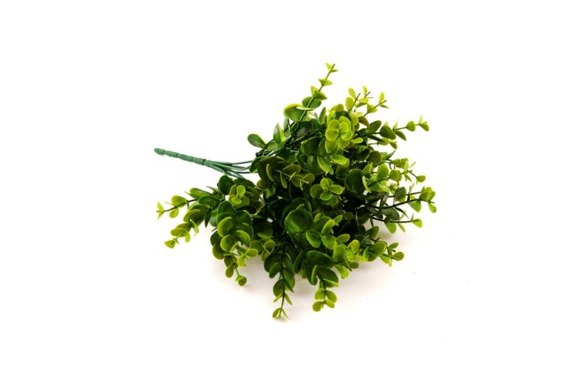 Umělý zelený eukalyptus